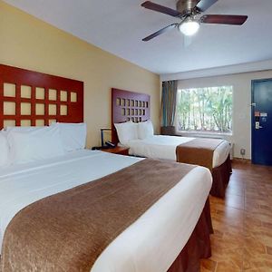 Chambre de Luxe Lit Queen-Size